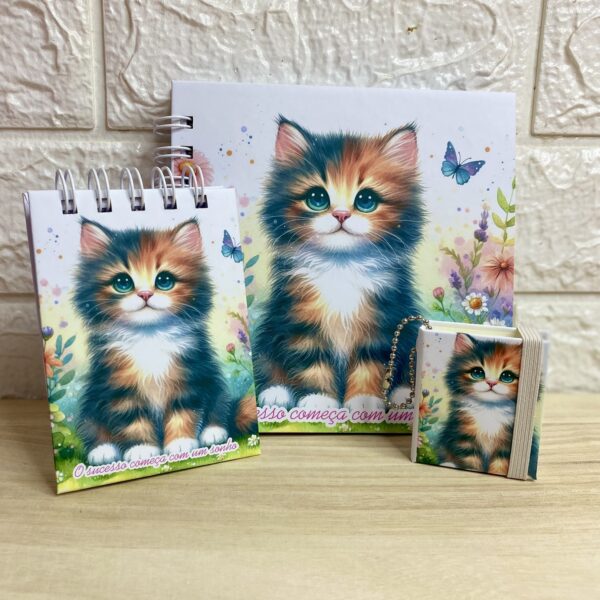 KIT - O sucesso começa com um sonho