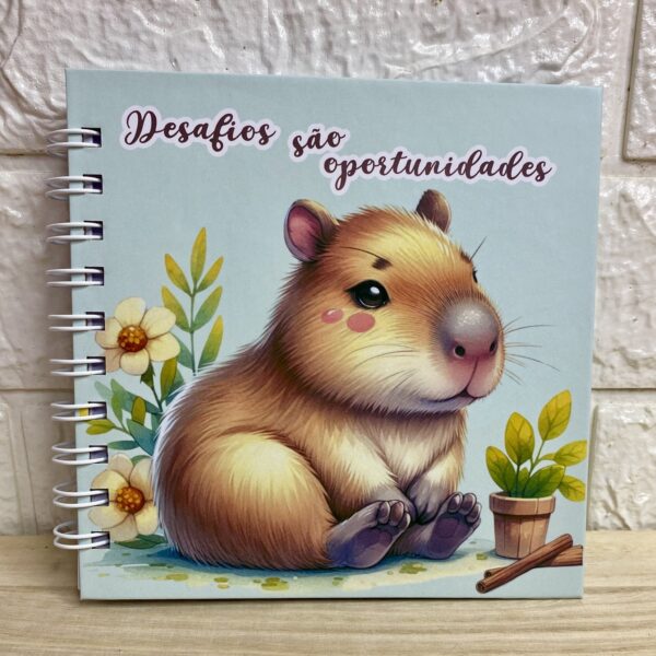 Caderninho - Desafios s&atilde;o oportunidades
