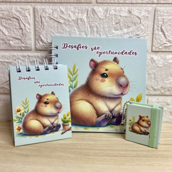 KIT - Desafios são oportunidades