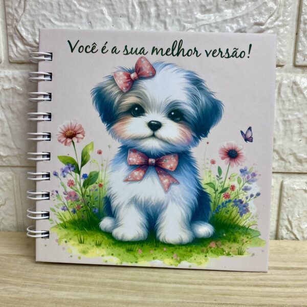 Caderninho - Você é a sua melhor versão II