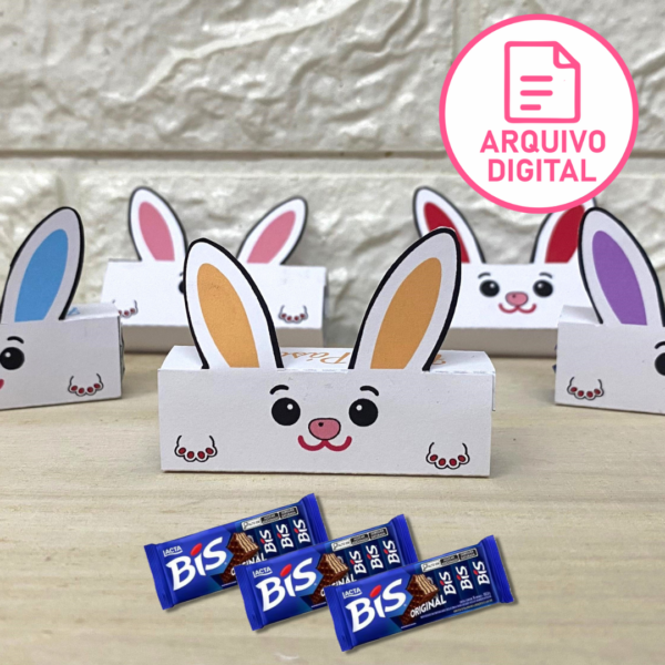 Arquivo Digital:  Porta BIS Coelhinho